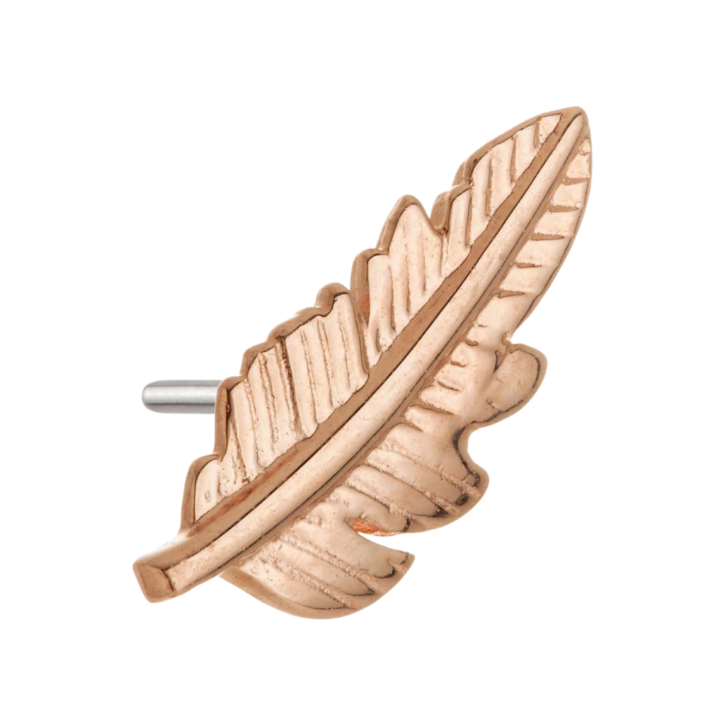 Tish Lyon - 14ct Solid Gold Threadless Feather Attachment